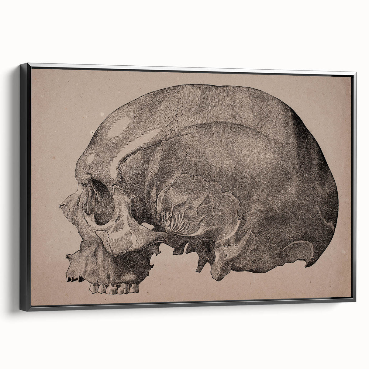 Grunge Skull Wall Art | Urban Grunge Aesthetic Art | Vintage Skull Print