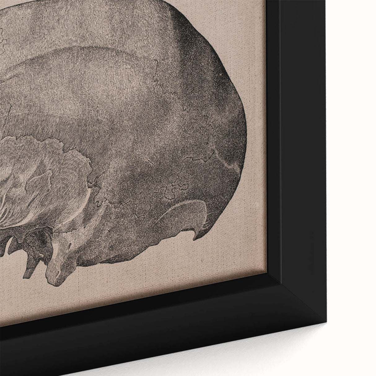 Grunge Skull Wall Art | Urban Grunge Aesthetic Art | Vintage Skull Print