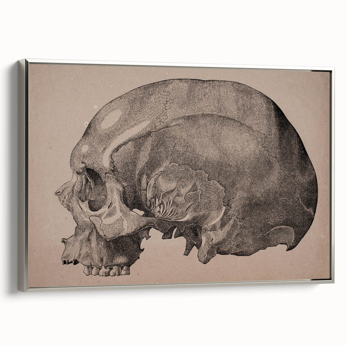 Grunge Skull Wall Art | Urban Grunge Aesthetic Art | Vintage Skull Print