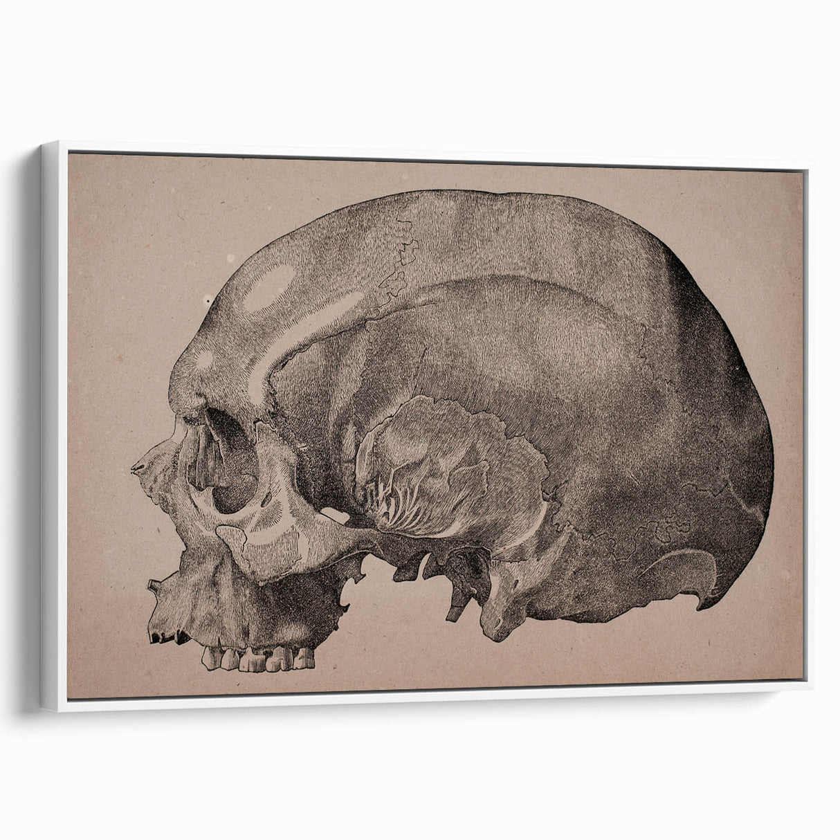 Grunge Skull Wall Art | Urban Grunge Aesthetic Art | Vintage Skull Print