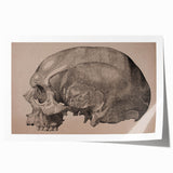 Grunge Skull Wall Art | Urban Grunge Aesthetic Art | Vintage Skull Print