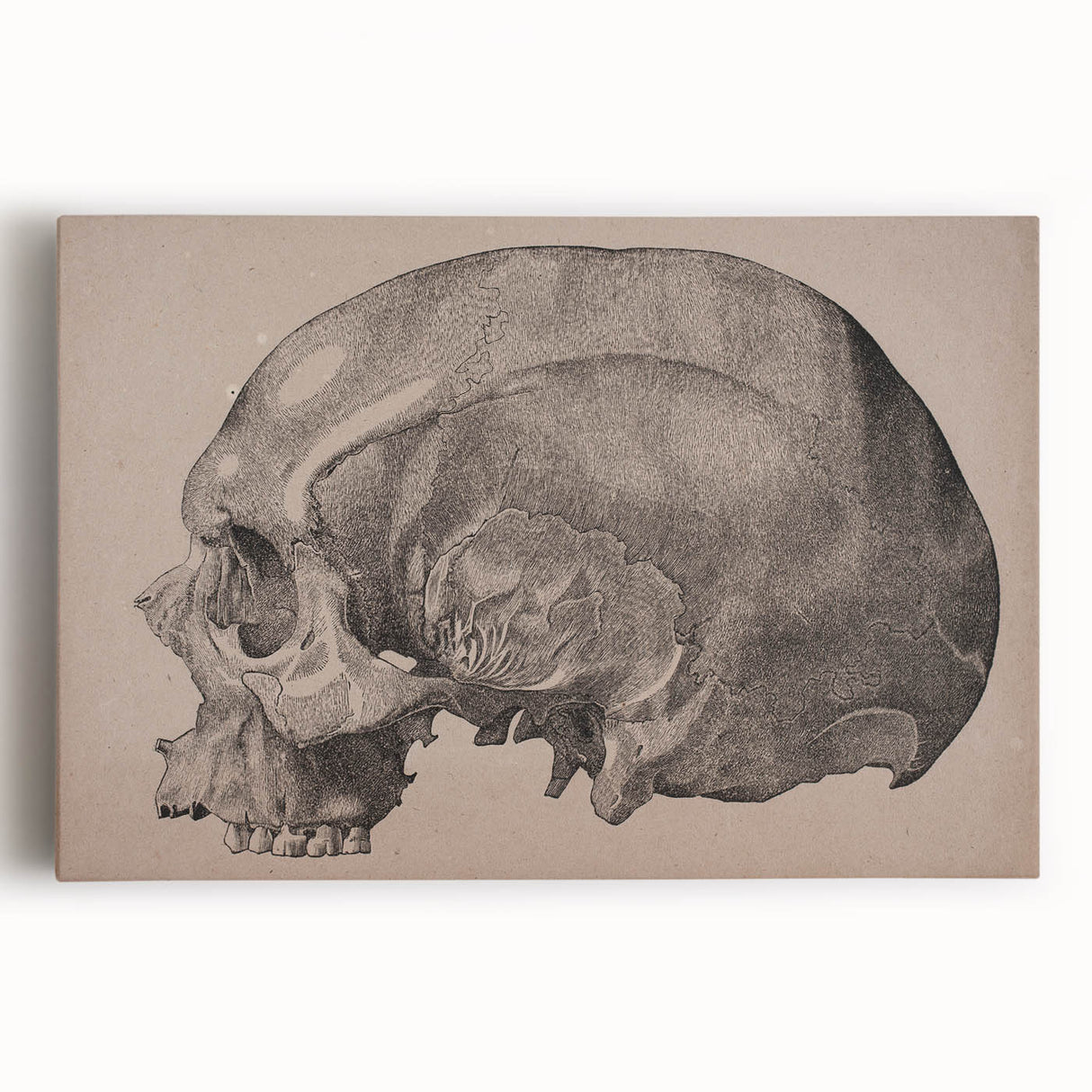 Grunge Skull Wall Art | Urban Grunge Aesthetic Art | Vintage Skull Print