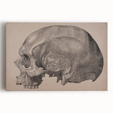 Grunge Skull Wall Art | Urban Grunge Aesthetic Art | Vintage Skull Print