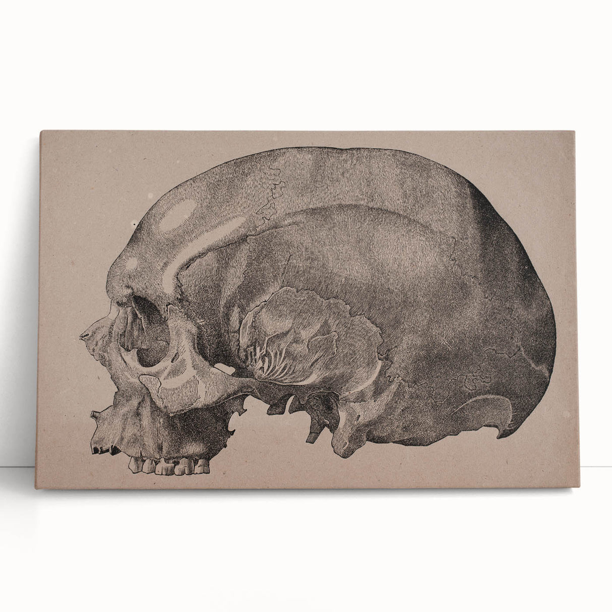Grunge Skull Wall Art | Urban Grunge Aesthetic Art | Vintage Skull Print