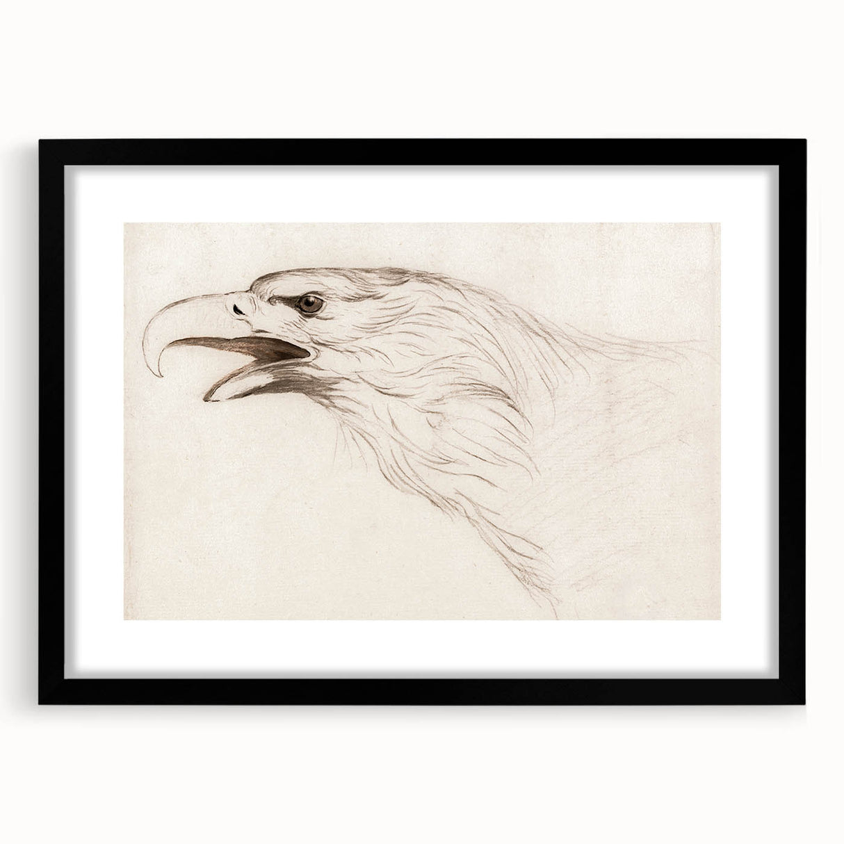Grunge Wall Art: Abstract Eagle Sketch | Vintage Grunge Canvas Print