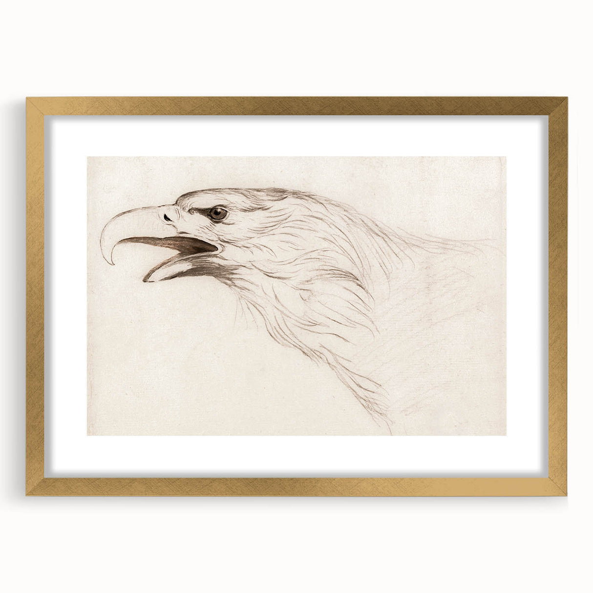 Grunge Wall Art: Abstract Eagle Sketch | Vintage Grunge Canvas Print