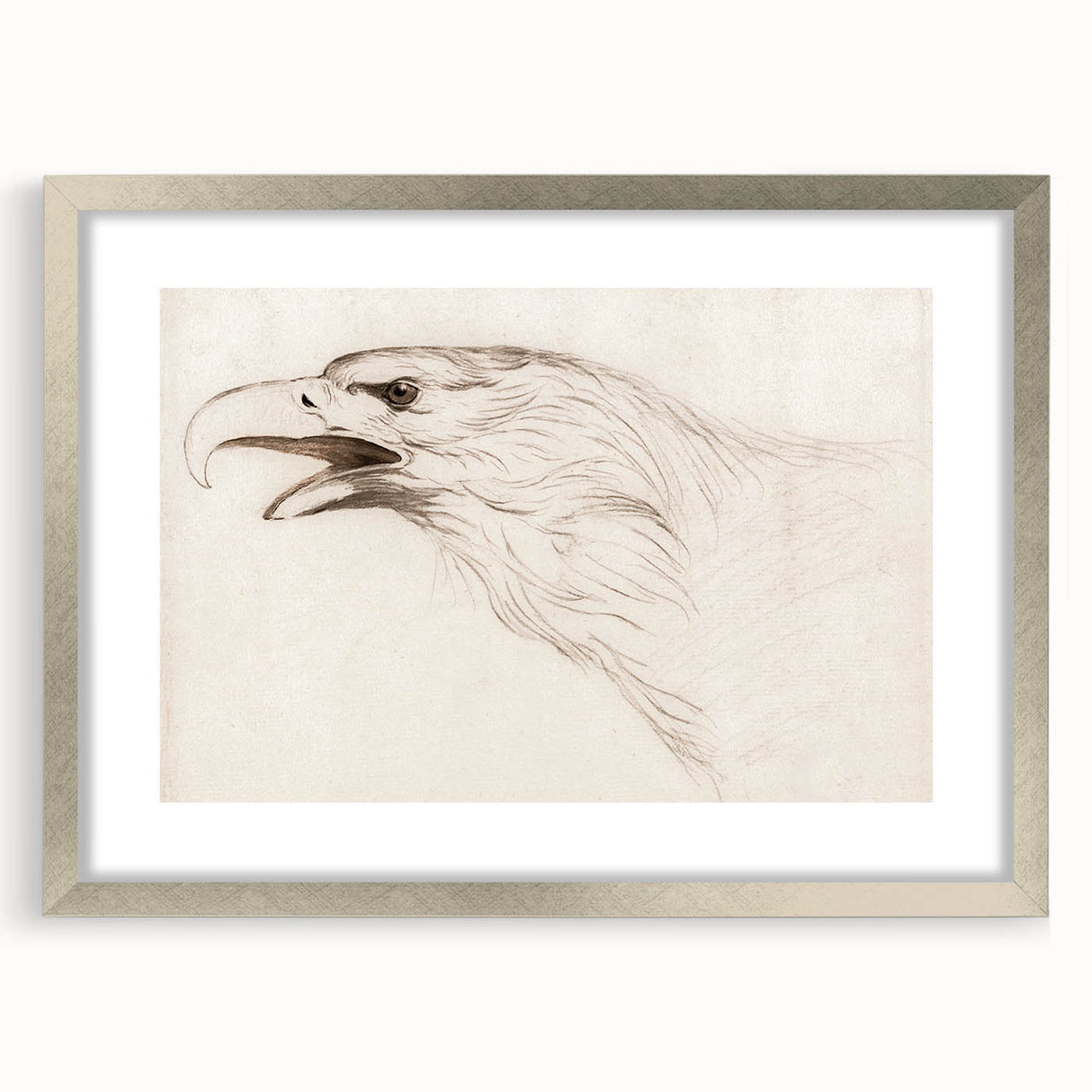 Grunge Wall Art: Abstract Eagle Sketch | Vintage Grunge Canvas Print