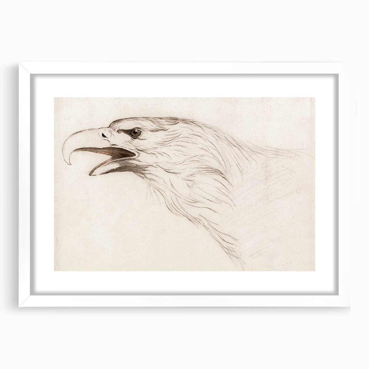 Grunge Wall Art: Abstract Eagle Sketch | Vintage Grunge Canvas Print