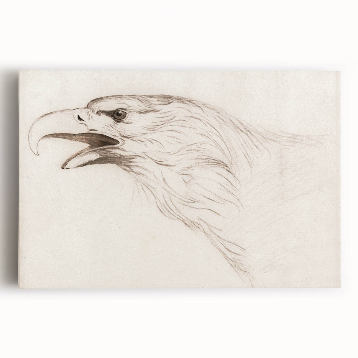 Grunge Wall Art: Abstract Eagle Sketch | Vintage Grunge Canvas Print