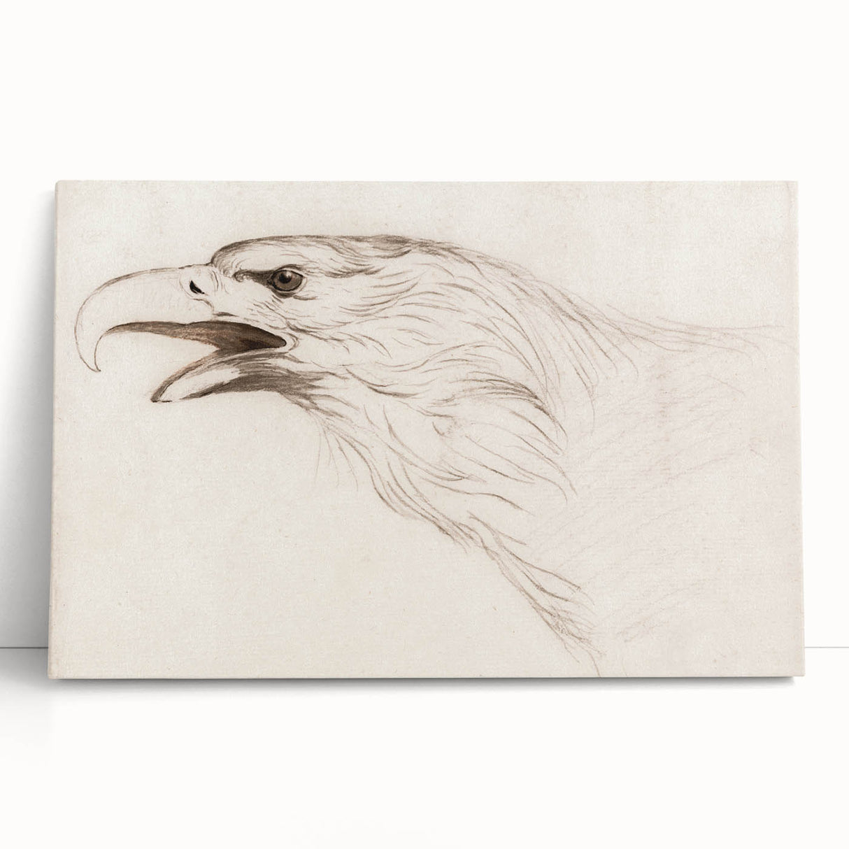 Grunge Wall Art: Abstract Eagle Sketch | Vintage Grunge Canvas Print