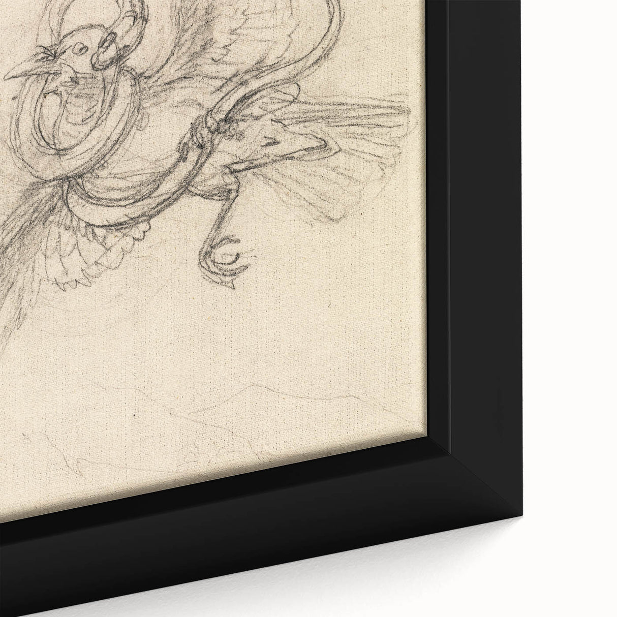 Grunge Wall Art | Vintage Grunge Bird Sketch | Abstract Grunge Aesthetic