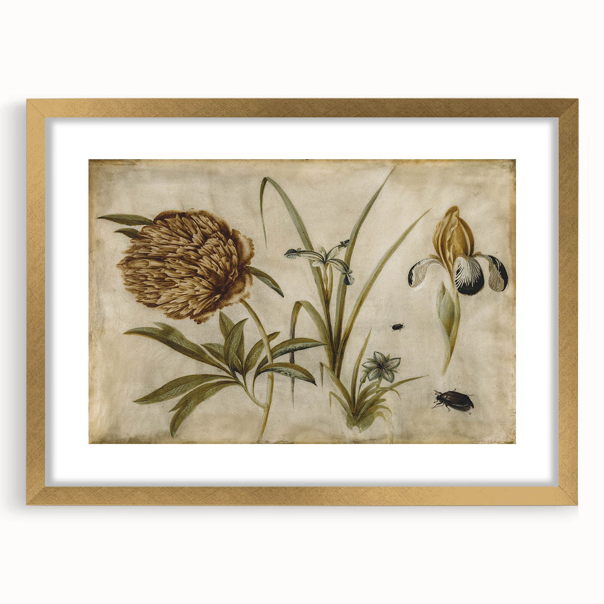 Grunge Wall Art: Botanical Insects Illustration | Vintage Grunge Canvas Print