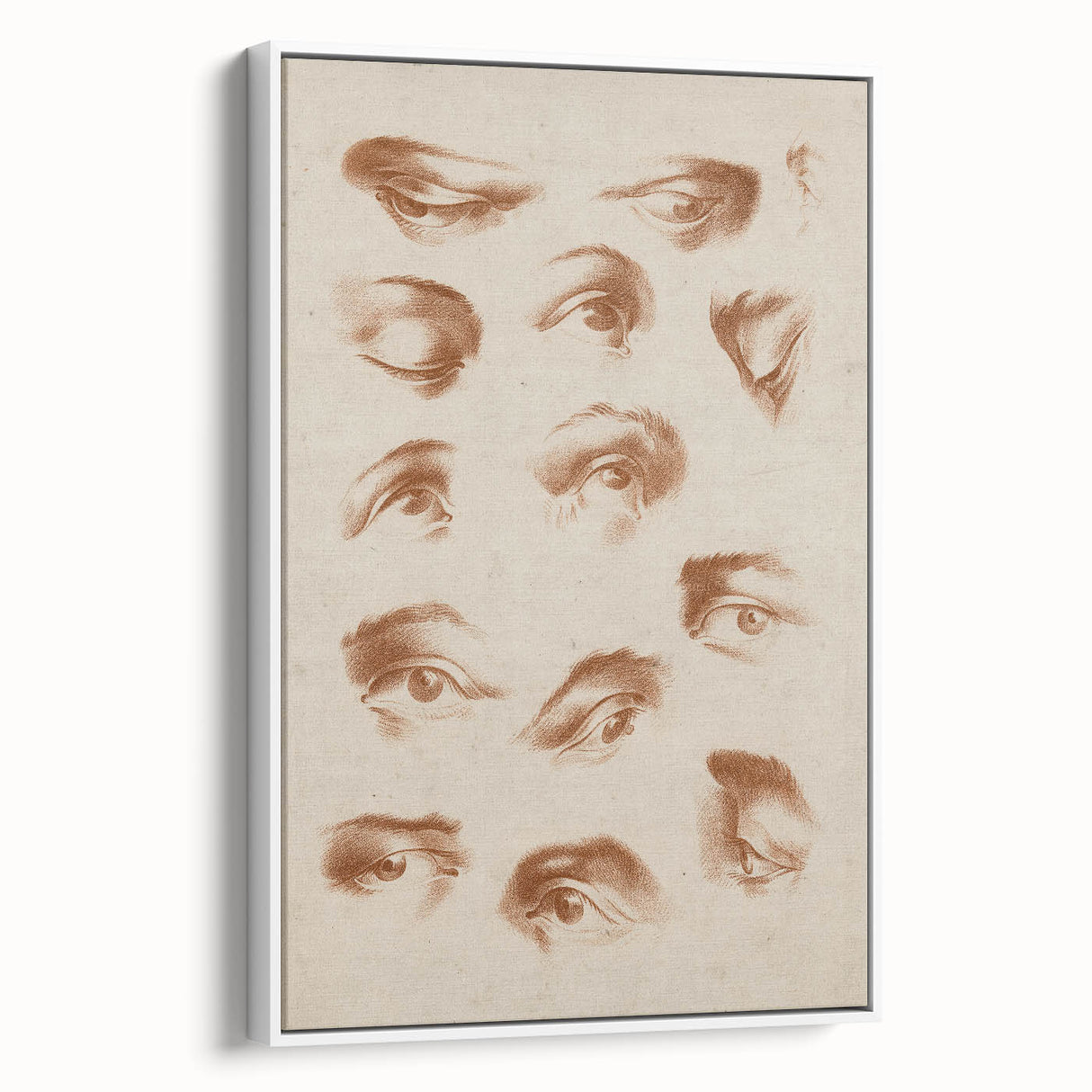 Grunge Wall Art | Vintage Eye Study Sketch | Abstract Grunge Canvas Print