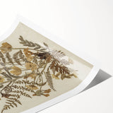 Grunge Wall Art | Vintage Botanical Pressed Flowers | Abstract Grunge Print