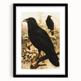 Grunge Wall Art | Vintage Raven Bird Sketch | Abstract Grunge Nature Print