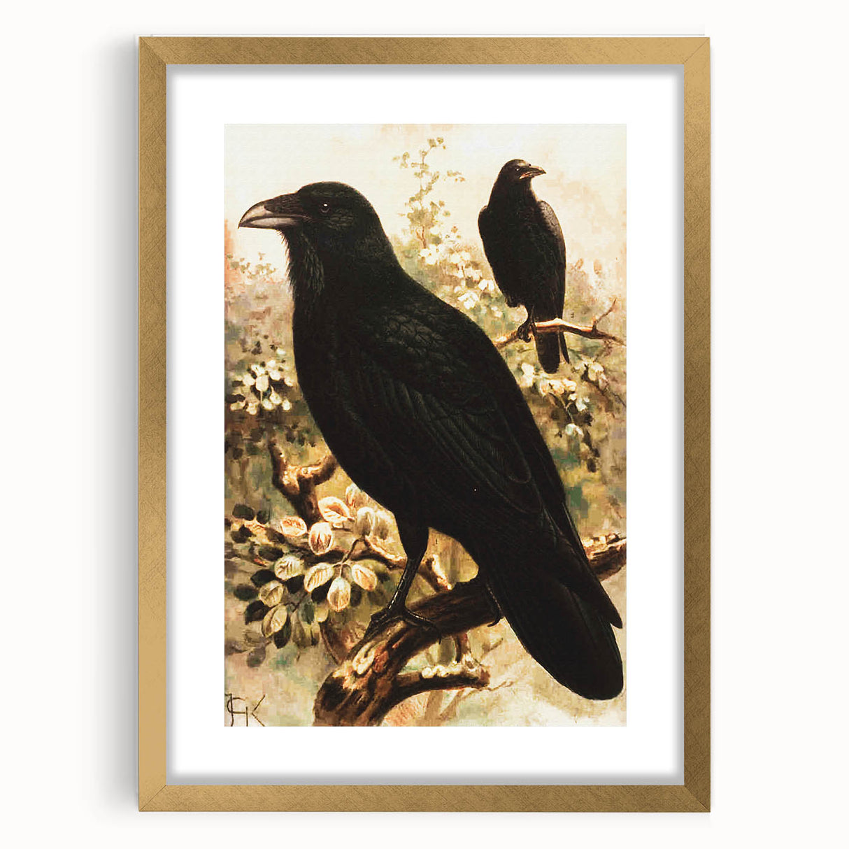 Grunge Wall Art | Vintage Raven Bird Sketch | Abstract Grunge Nature Print