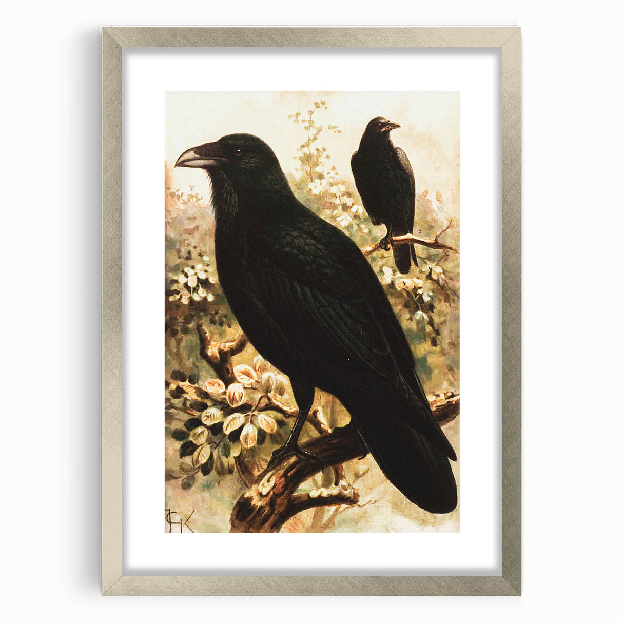 Grunge Wall Art | Vintage Raven Bird Sketch | Abstract Grunge Nature Print