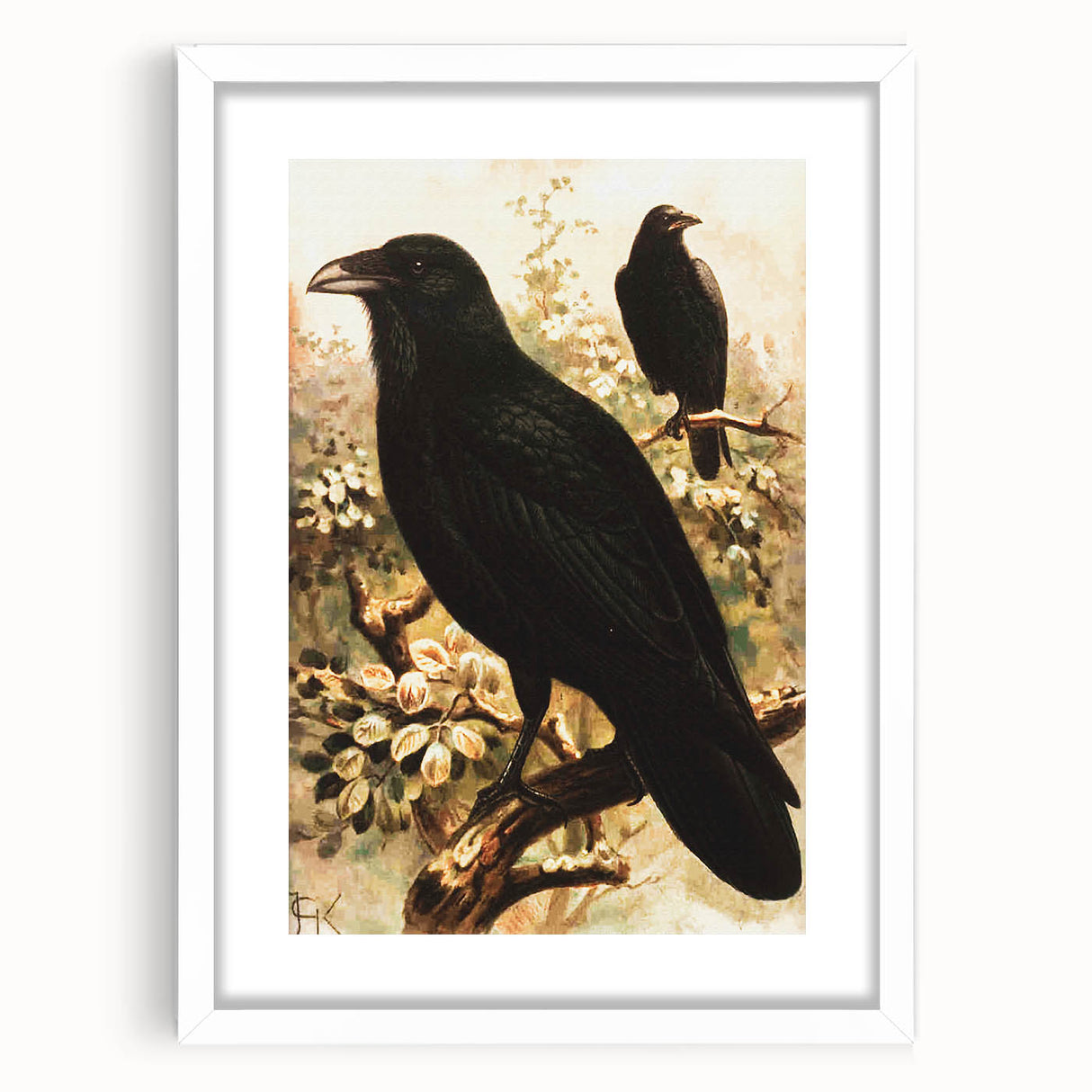 Grunge Wall Art | Vintage Raven Bird Sketch | Abstract Grunge Nature Print