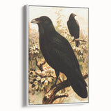 Grunge Wall Art | Vintage Raven Bird Sketch | Abstract Grunge Nature Print