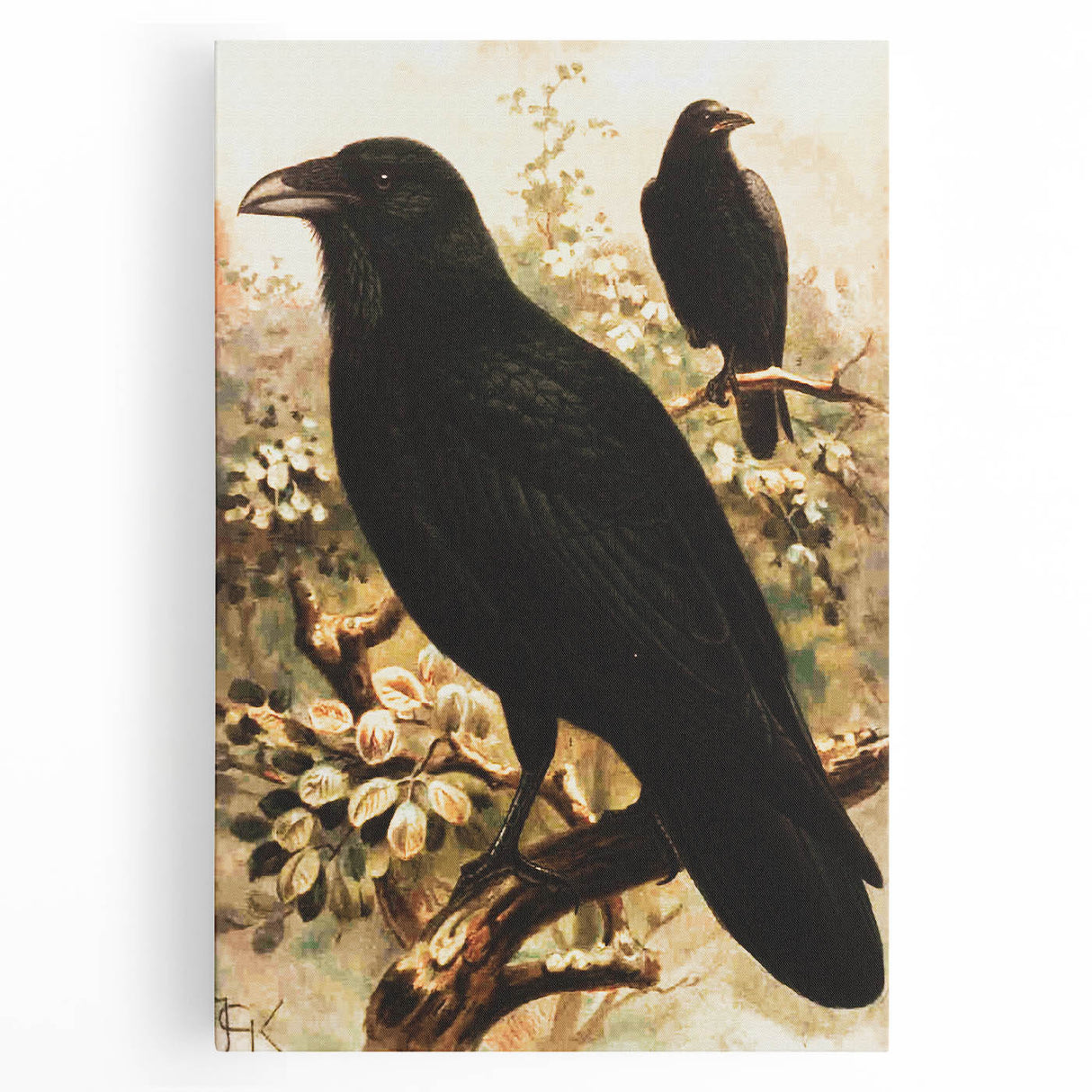 Grunge Wall Art | Vintage Raven Bird Sketch | Abstract Grunge Nature Print