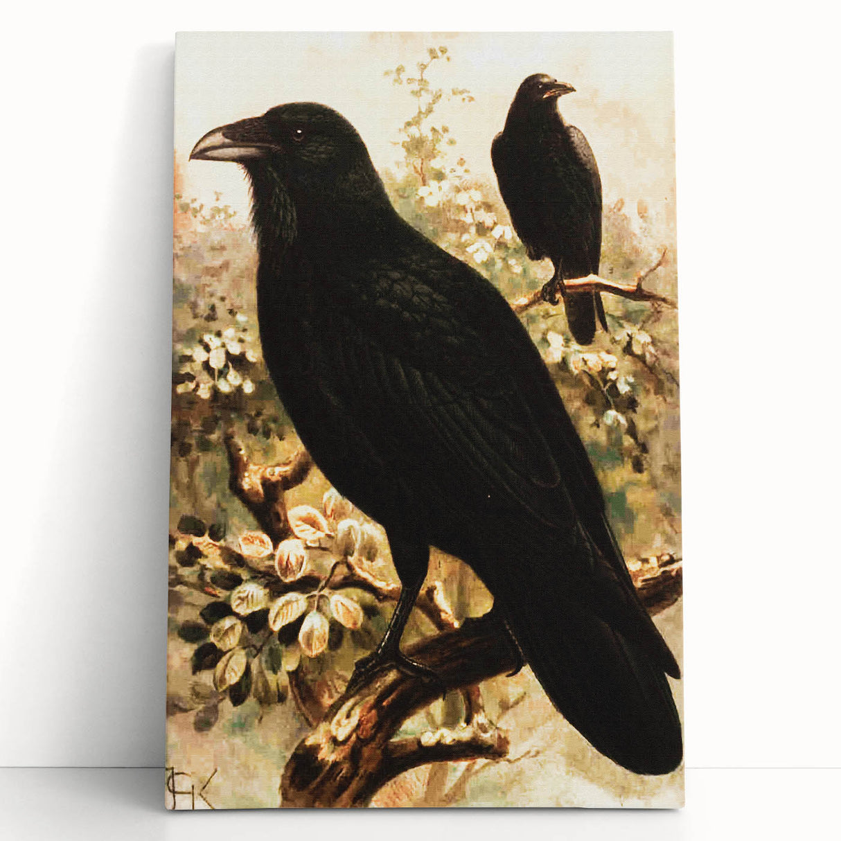 Grunge Wall Art | Vintage Raven Bird Sketch | Abstract Grunge Nature Print
