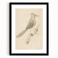 Grunge Wall Art | Vintage Bird Sketch | Abstract Grunge Nature Print