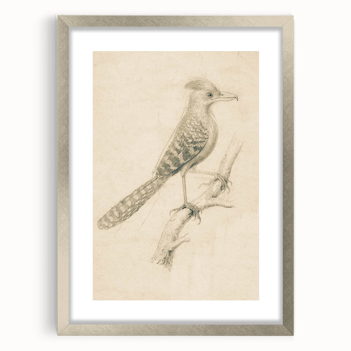Grunge Wall Art | Vintage Bird Sketch | Abstract Grunge Nature Print