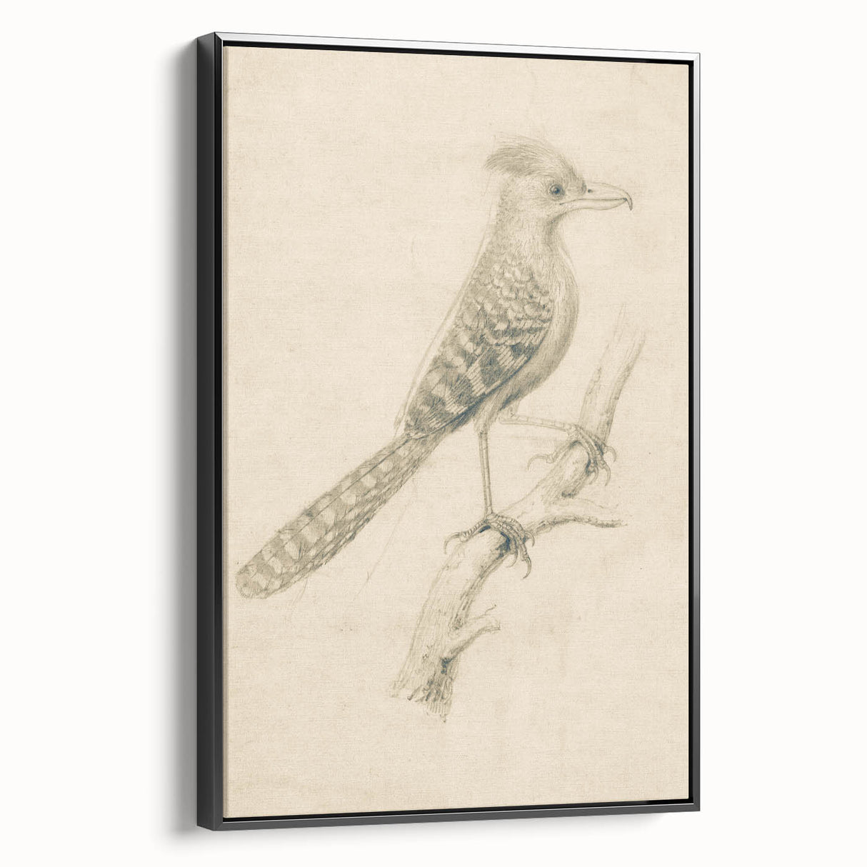 Grunge Wall Art | Vintage Bird Sketch | Abstract Grunge Nature Print