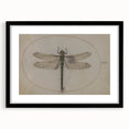 Grunge Wall Art: Dragonfly Illustration | Vintage Grunge Canvas Print