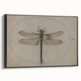 Grunge Wall Art: Dragonfly Illustration | Vintage Grunge Canvas Print