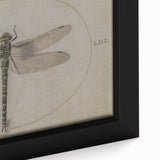 Grunge Wall Art: Dragonfly Illustration | Vintage Grunge Canvas Print