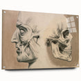 Grunge Aesthetic Art: Vintage Skull & Anatomy Grunge Wall Art on Canvas