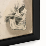 Grunge Aesthetic Art: Vintage Skull & Anatomy Grunge Wall Art on Canvas