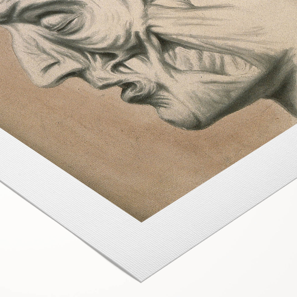 Grunge Aesthetic Art: Vintage Skull & Anatomy Grunge Wall Art on Canvas