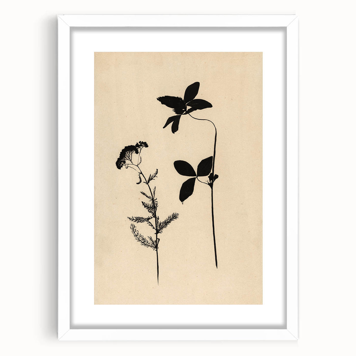 Grunge Wall Art - Botanical Silhouette Grunge Canvas Print for Decor