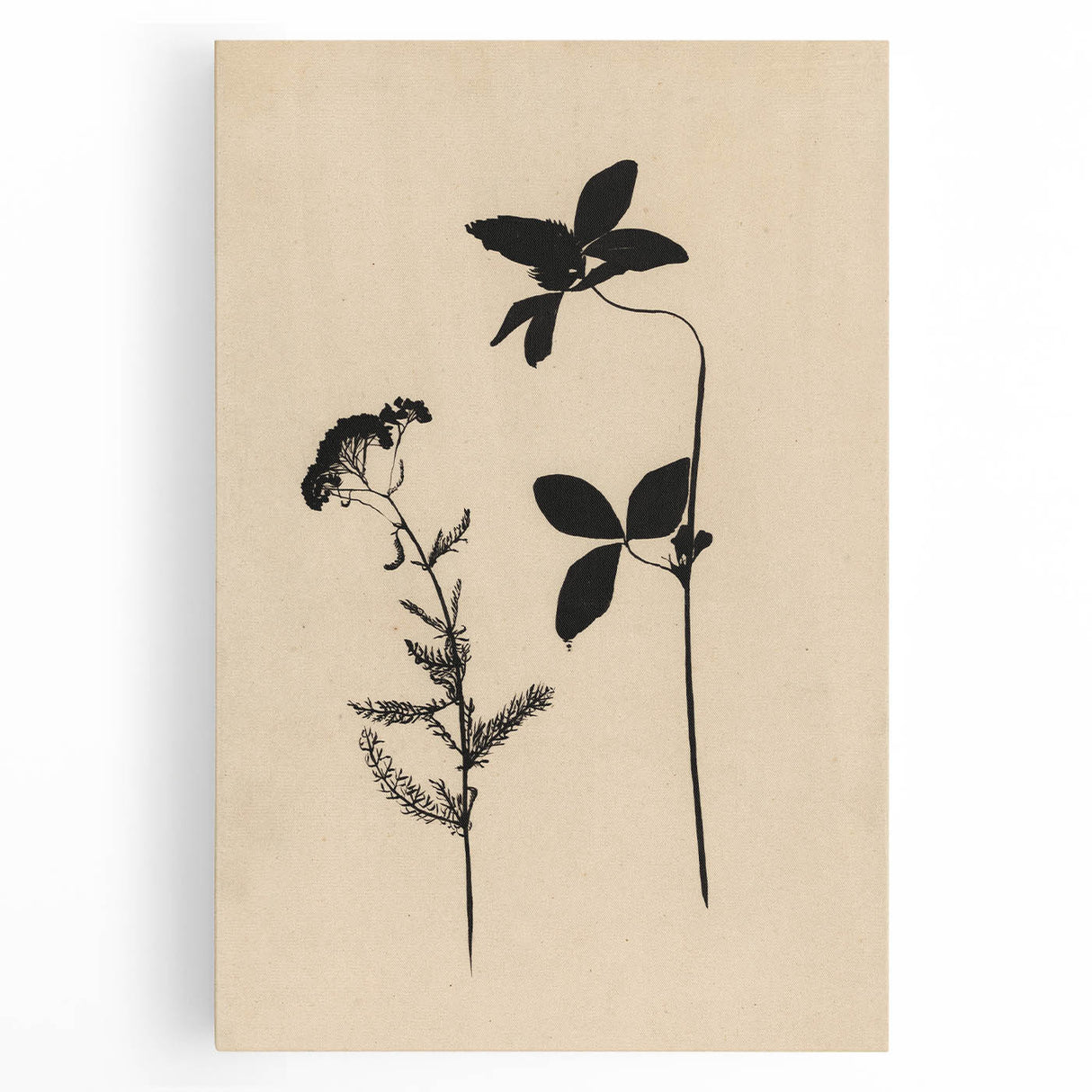 Grunge Wall Art - Botanical Silhouette Grunge Canvas Print for Decor