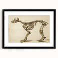 Grunge Aesthetic Art: Animal Skeleton Grunge Canvas Print for Urban Decor