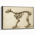 Grunge Aesthetic Art: Animal Skeleton Grunge Canvas Print for Urban Decor