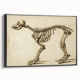 Grunge Aesthetic Art: Animal Skeleton Grunge Canvas Print for Urban Decor