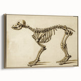 Grunge Aesthetic Art: Animal Skeleton Grunge Canvas Print for Urban Decor