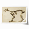 Grunge Aesthetic Art: Animal Skeleton Grunge Canvas Print for Urban Decor