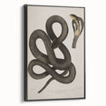 Grunge Wall Art - Vintage Cobra Snake Illustration Grunge Canvas Print
