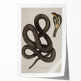 Grunge Wall Art - Vintage Cobra Snake Illustration Grunge Canvas Print