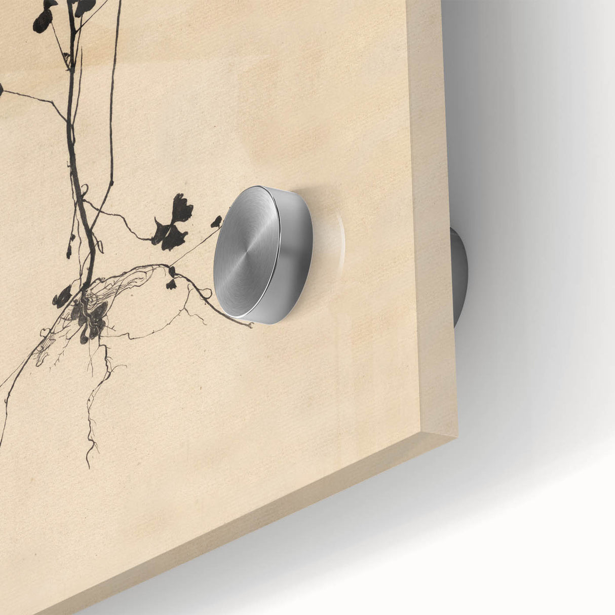 Abstract Grunge Wall Art - Vintage Plant Silhouette Grunge Canvas Print