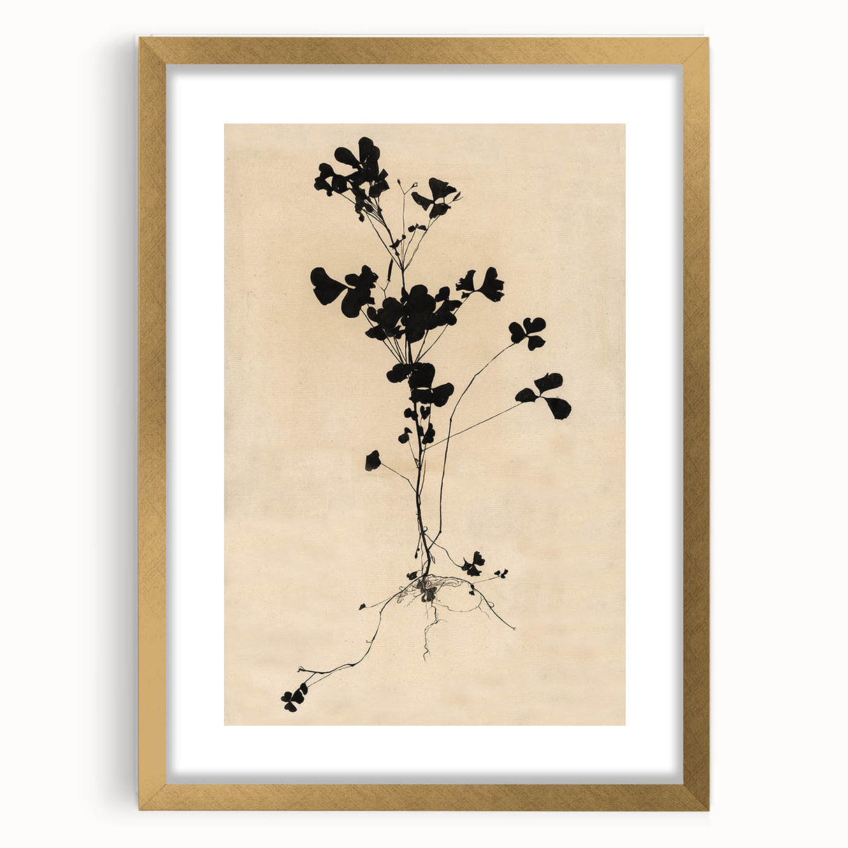Abstract Grunge Wall Art - Vintage Plant Silhouette Grunge Canvas Print