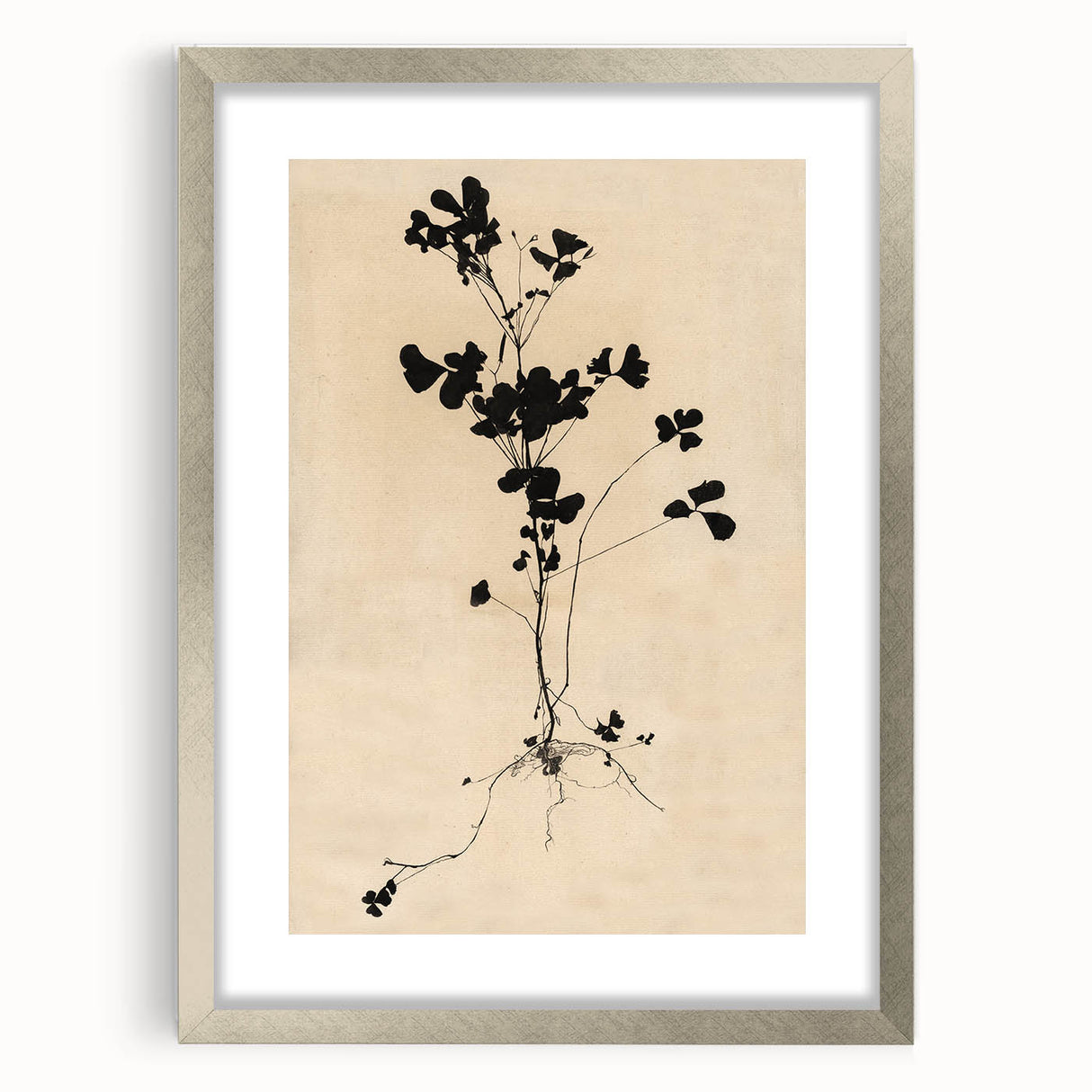 Abstract Grunge Wall Art - Vintage Plant Silhouette Grunge Canvas Print