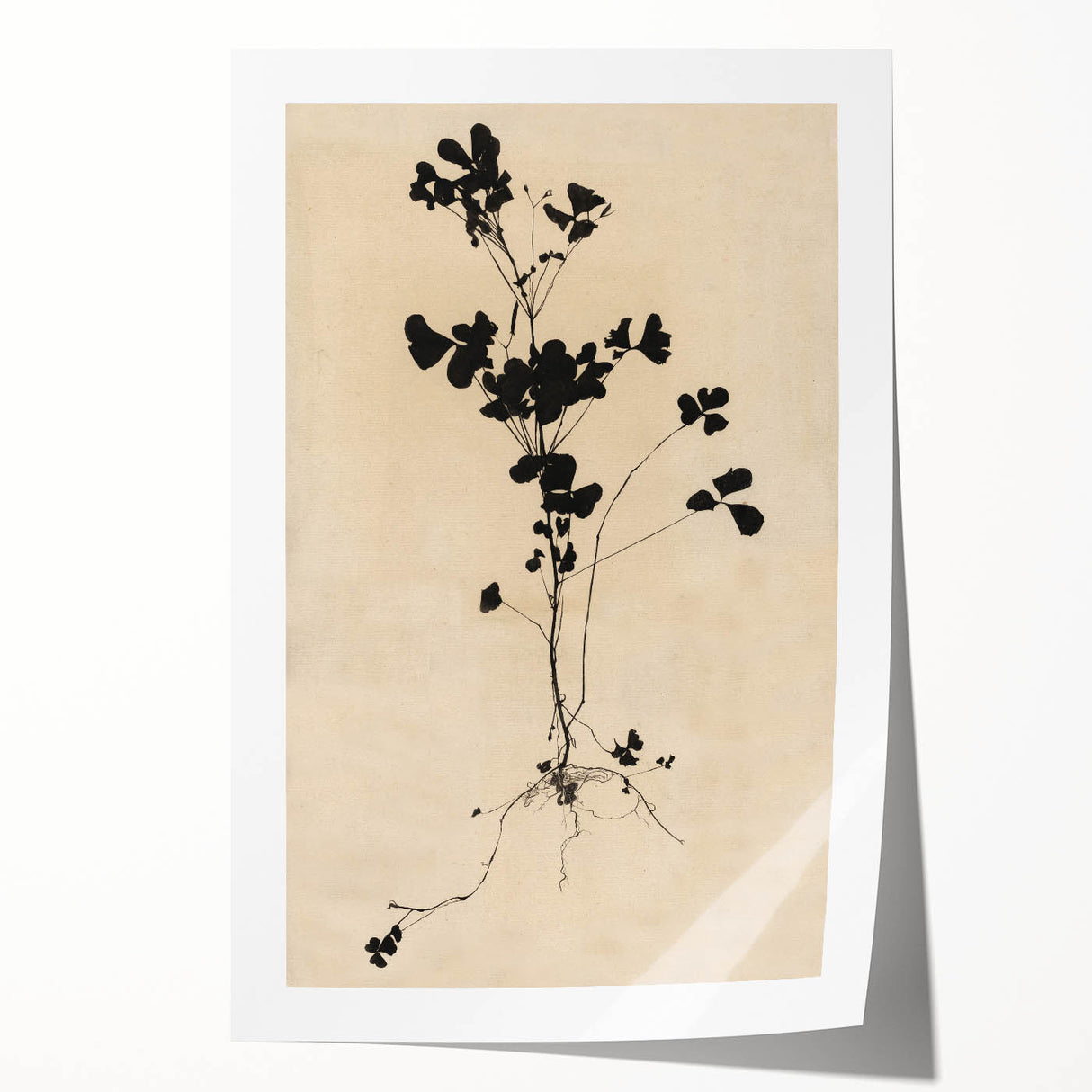 Abstract Grunge Wall Art - Vintage Plant Silhouette Grunge Canvas Print