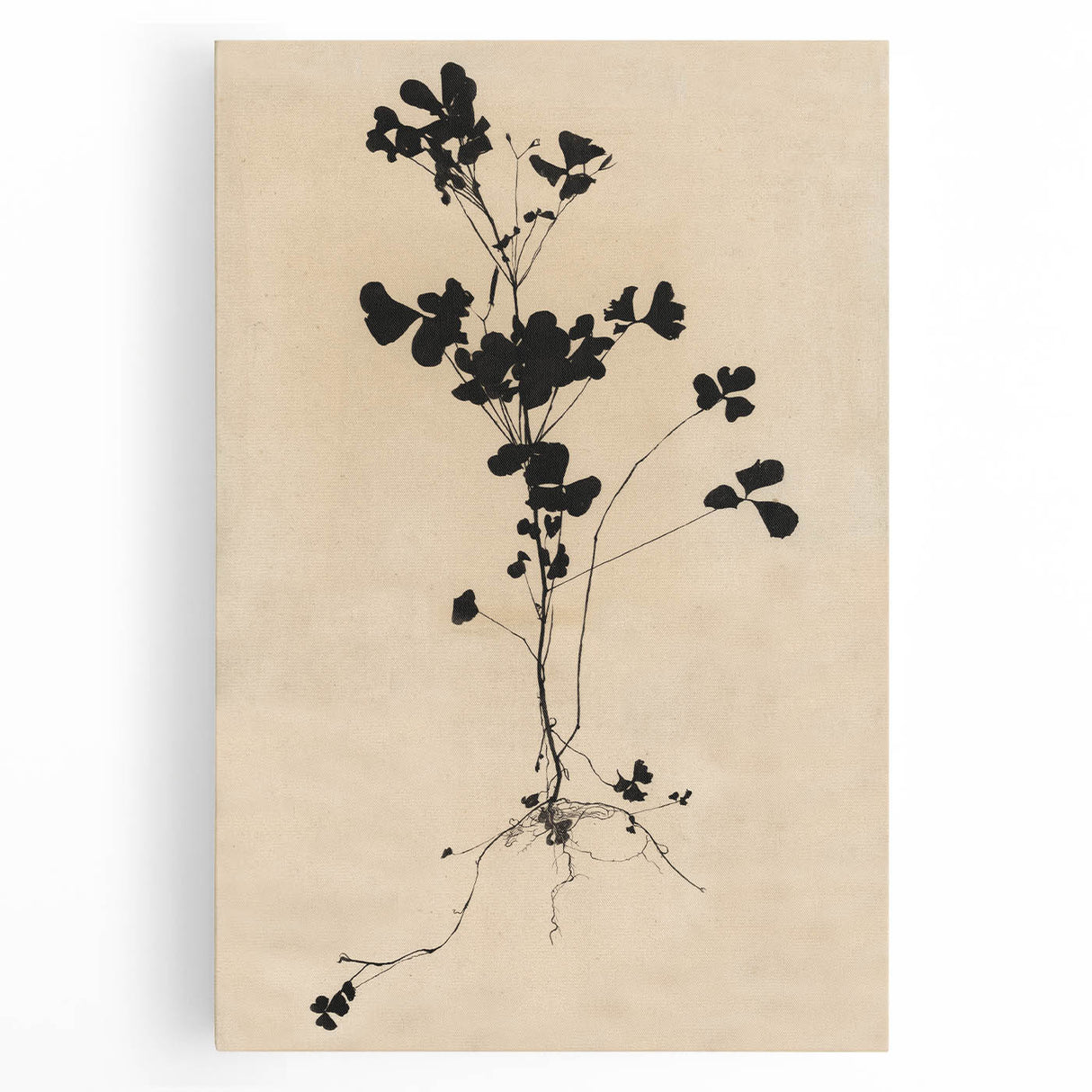Abstract Grunge Wall Art - Vintage Plant Silhouette Grunge Canvas Print
