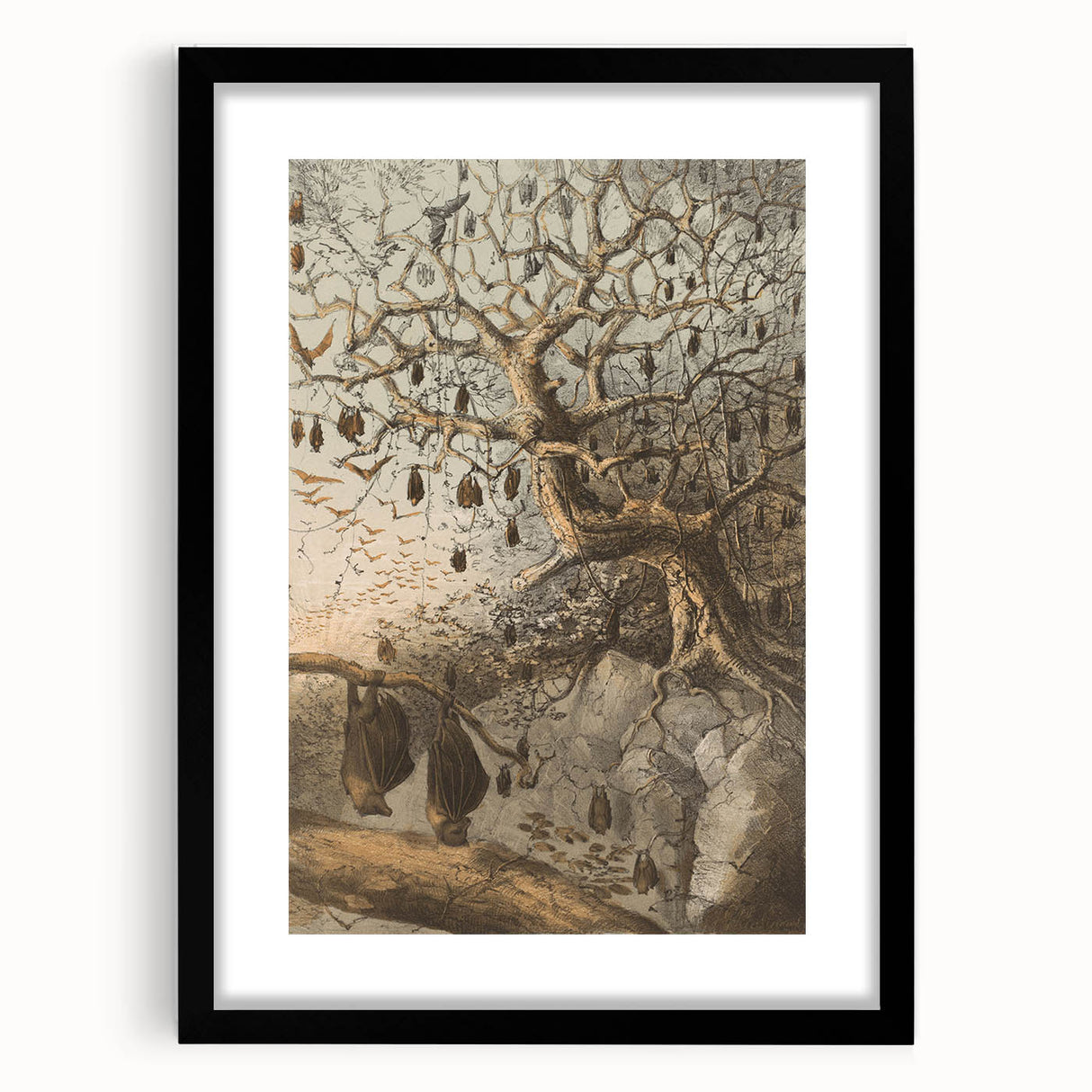 Grunge Wall Art - Vintage Bat Tree Illustration Grunge Canvas Print