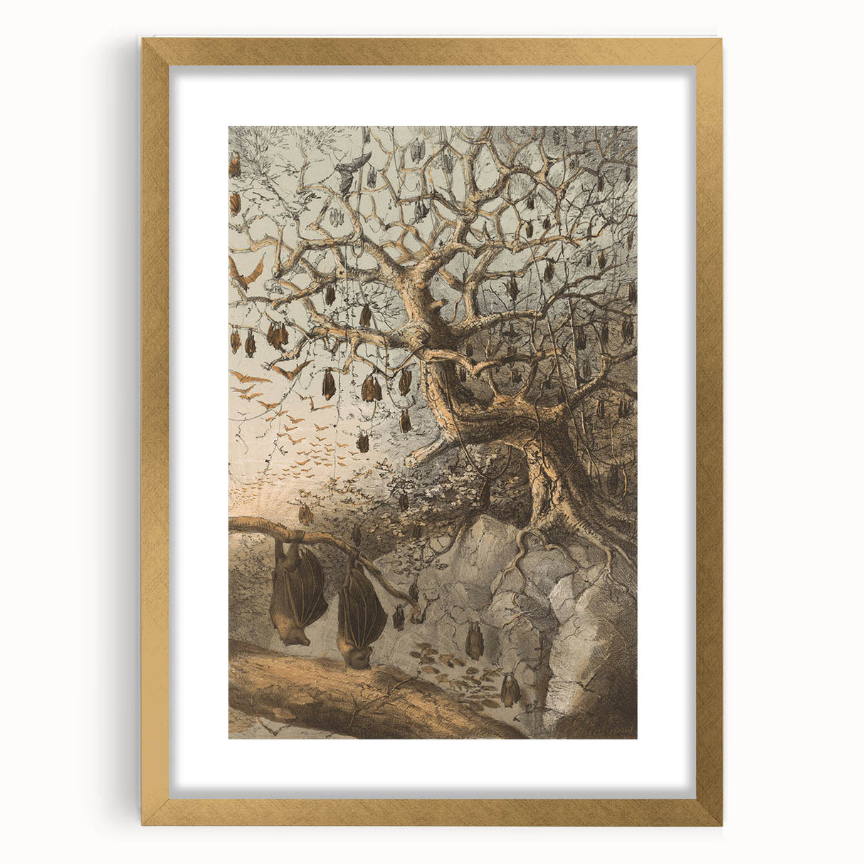 Grunge Wall Art - Vintage Bat Tree Illustration Grunge Canvas Print